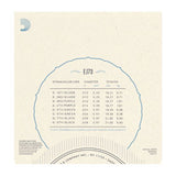 D'Addario EJ73 Mandolin Strings, Phosphor Bronze, Light, 10-38