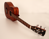 Cort AD-Mini Mahogany travel acoustic guitar