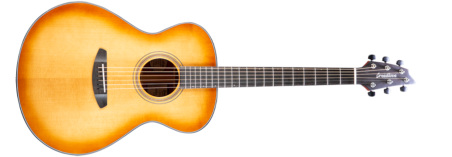 Breedlove organic signature discount concert